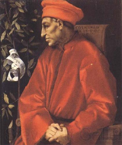Sandro Botticelli Pontormo,Portrait of Cosimo the Elder Norge oil painting art